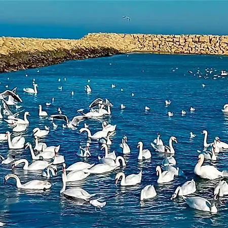 Splendid Отель