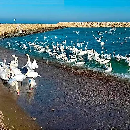 Отель Splendid